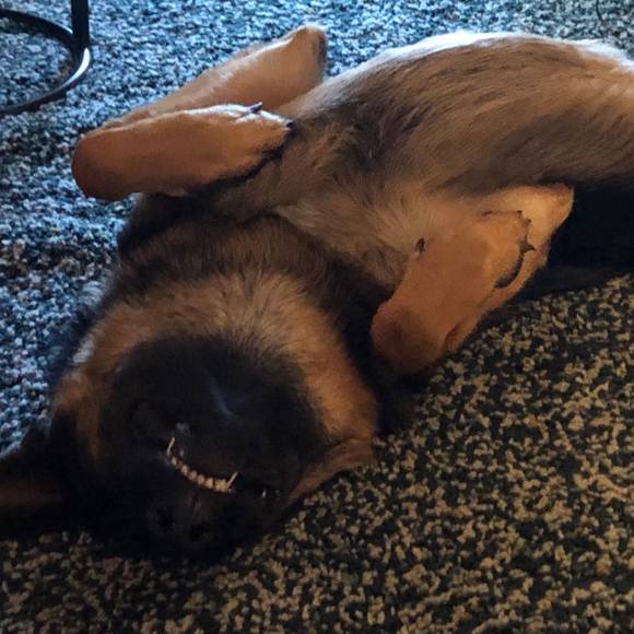 Meet your Posher, Nathan - Picture 1 of 1